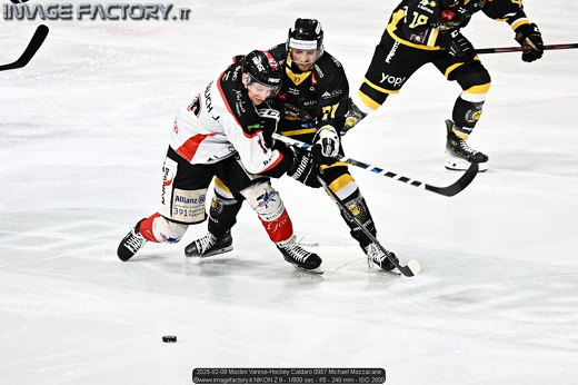 2025-02-08 Mastini Varese-Hockey Caldaro 0957 Michael Mazzacane